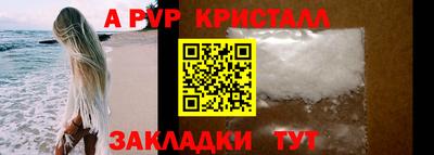 прущие грибы Ярославль